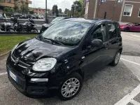 Usata Fiat Panda Easy 69 CV (50 kW) 2016 Utilitaria