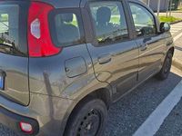 Usata Fiat Panda Lounge 80 CV (58 kW) 2017 Grigio Utilitaria