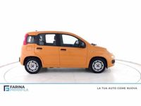usata Fiat Panda (2011-->>) del 2021 usata a Pozzuoli