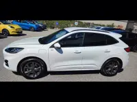 Usata Ford Kuga ST-Line X 225 CV (165 kW) 2023 Bianco SUV