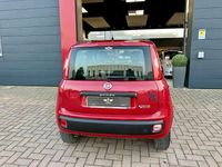 Usata Fiat Panda Easy 80 CV (58 kW) 2012 Rosso Utilitaria