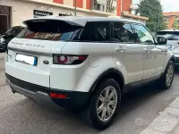 Usata Land Rover Range Rover evoque Pure 150 CV (110 kW) 2013 Bianco SUV