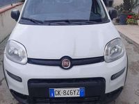 Usata Fiat Panda 4x4 Wild 86 CV (63 kW) 2022 Utilitaria