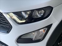 Usata Ford Ecosport Active 125 CV (91 kW) 2021 Bianco SUV