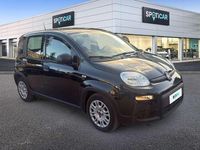 Usata Fiat Panda S 69 CV (50 kW) 2023 Nero Utilitaria