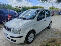 usata Fiat Panda 1.2 Dynamic usato