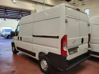 Usata Opel Movano 140 CV (102 kW) 2023 Bianco Furgone