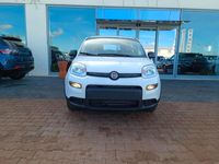 usata Fiat Panda 1.0 firefly hybrid s