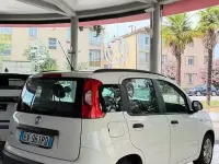 Usata Fiat Panda Easy 75 CV (55 kW) 2014 Bianco Utilitaria