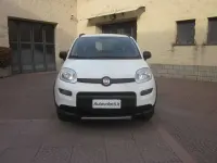 Usata Fiat Panda 4x4 S 86 CV (63 kW) 2020 Bianco Utilitaria