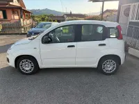 Usata Fiat Panda Icon 65 CV (47 kW) 2025 Bianco Utilitaria