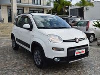 usata Fiat Panda 4x4 1.3 Mjt 16v 75Cv - ELD/5°Posto