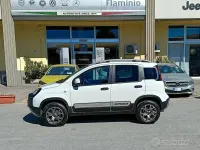 Usata Fiat Panda 4x4 S 84 CV (61 kW) 2020 Bianco Utilitaria