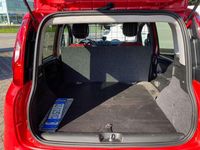 Usata Fiat Panda 69 CV (50 kW) 2020 Rosso Utilitaria