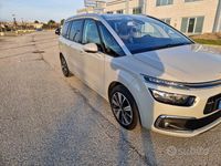 Usata Citroën C4 131 CV (96 kW) 2019 Marrone Berlina