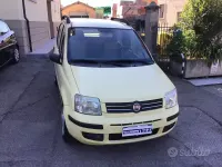 Usata Fiat Panda Dynamic 60 CV (44 kW) 2009 Giallo Utilitaria