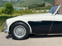 Usata Austin Healey 100/6 1957 Bianco Cabrio