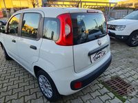 usata Fiat Panda Panda 1.2 Easy