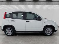 Usata Fiat Panda S 70 CV (51 kW) 2023 Bianco Utilitaria