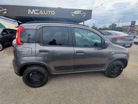 Usata Fiat Panda 4x4 S 86 CV (63 kW) 2018 Grigio Utilitaria