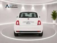 Usata Fiat 500 69 CV (50 kW) 2023 Bianco Berlina