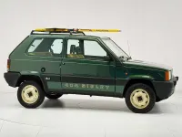 Usata Fiat Panda 4x4 50 CV (36 kW) 1987 Verde Utilitaria