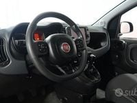 Usata Fiat Panda Cross Cross 69 CV (50 kW) 2023 Rosso Utilitaria