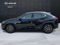 Usata Lexus UX 250h Executive Line 184 CV (135 kW) 2022 Nero SUV