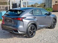 usata Lexus NX300h NX Hybrid 4WD Business