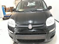 Usata Fiat Panda Easy 85 CV (62 kW) 2014 Grigio Utilitaria