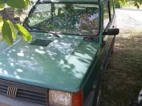 Usata Fiat Panda 39 CV (28 kW) 1997 Verde Utilitaria