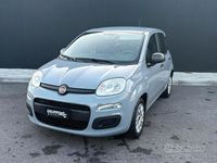 Usata Fiat Panda Connect 70 CV (51 kW) 2020 Grigio Utilitaria