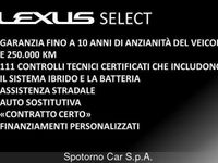 usata Lexus UX Hybrid Luxury del 2019 usata a Sesto San Giovanni