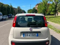 Usata Fiat Panda Trekking 80 CV (58 kW) 2014 Beige Utilitaria