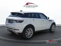 Usata Land Rover Range Rover evoque Dynamic 150 CV (110 kW) 2019 Bianco SUV