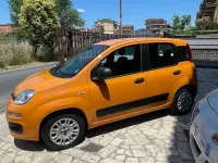 Usata Fiat Panda Easy 69 CV (50 kW) 2017 Arancione Utilitaria