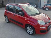 Usata Fiat Panda Easy 69 CV (50 kW) 2012 Rosso Utilitaria