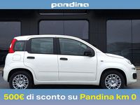 Nuova Fiat Panda Icon 65 CV (47 kW) 2026 Bianco Utilitaria