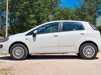 usata Fiat Punto Evo -