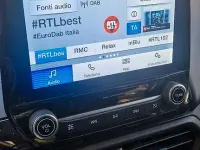 Usata Ford Ecosport 125 CV (91 kW) 2021 Grigio SUV