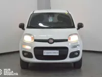 Usata Fiat Panda 4x4 Pop 84 CV (61 kW) 2019 Bianco Utilitaria