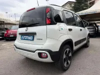 Usata Fiat Panda Cross Cross 69 CV (50 kW) 2024 Bianco Utilitaria