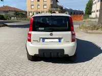 Usata Fiat Panda 4x4 69 CV (50 kW) 2009 Bianco Utilitaria