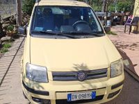 Usata Fiat Panda Dynamic 60 CV (44 kW) 2009 Giallo Utilitaria