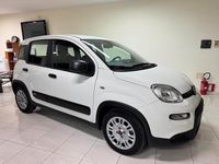 Usata Fiat Panda S 70 CV (51 kW) 2024 Bianco Utilitaria