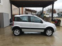 Usata Fiat Panda 4x4 74 CV (54 kW) 2009 Argento Utilitaria
