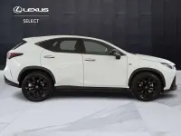 Usata Lexus NX350h Sport Line 190 CV (139 kW) 2024 Bianco SUV