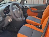 Usata Fiat Panda 77 CV (56 kW) 2009 Utilitaria