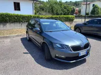 Usata Skoda Octavia G-TEC Ambition 131 CV (96 kW) 2020 Grigio Station wagon