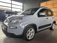 Usata Fiat Panda City Life 69 CV (50 kW) 2022 Grigio Utilitaria